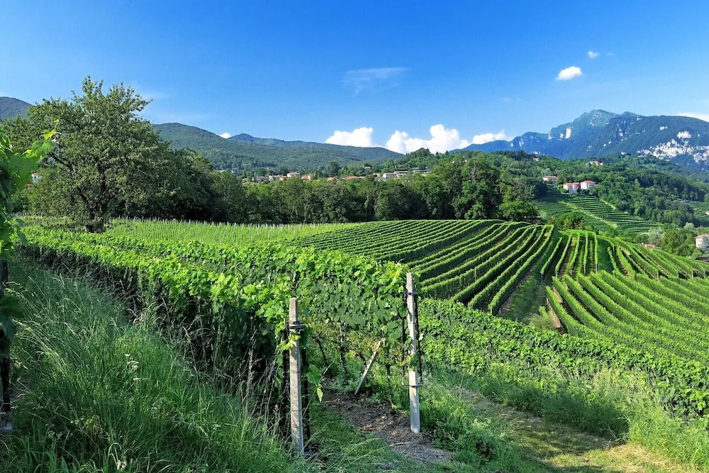 Conca Bella Boutique Hotel & Wine Experience - Général