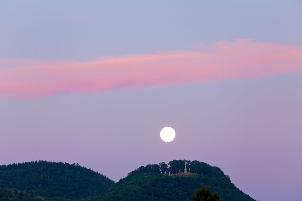 Image 15
