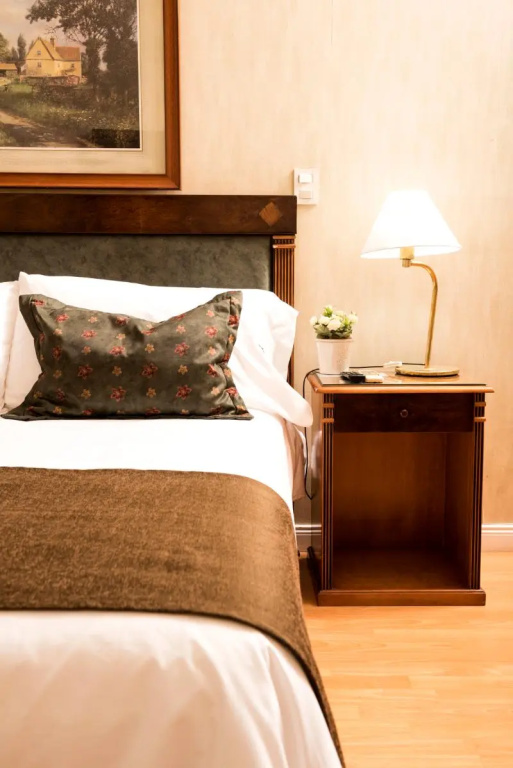 Standard Double room (full double bed)