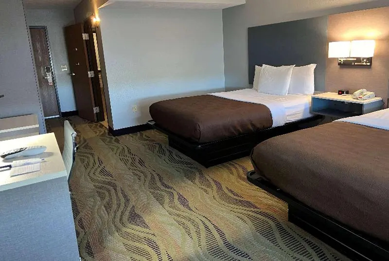 Standard Double room (twin beds)
