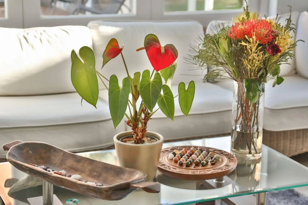 Abington Manor - Fish Hoek Guesthouse - Général