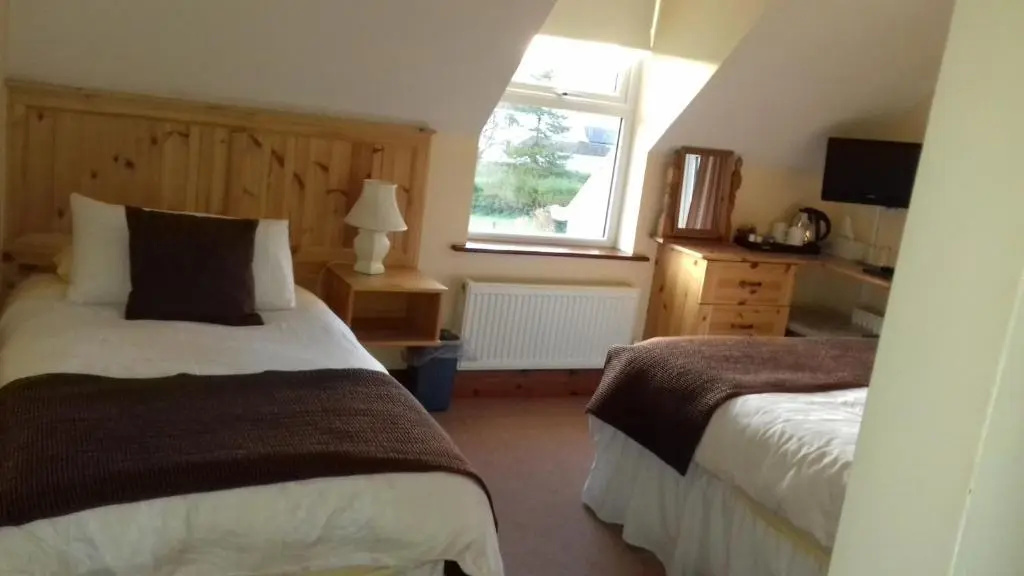 Standard Double room (twin beds)