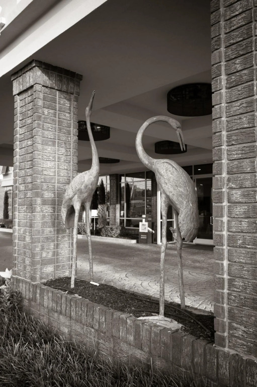 Image 25
