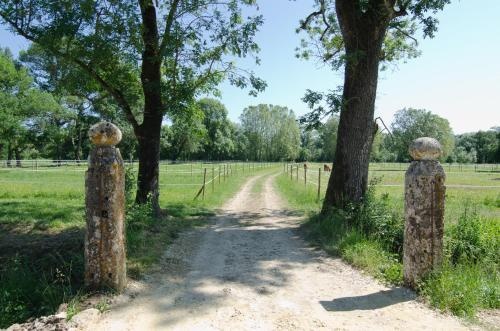 Château de Beau Site