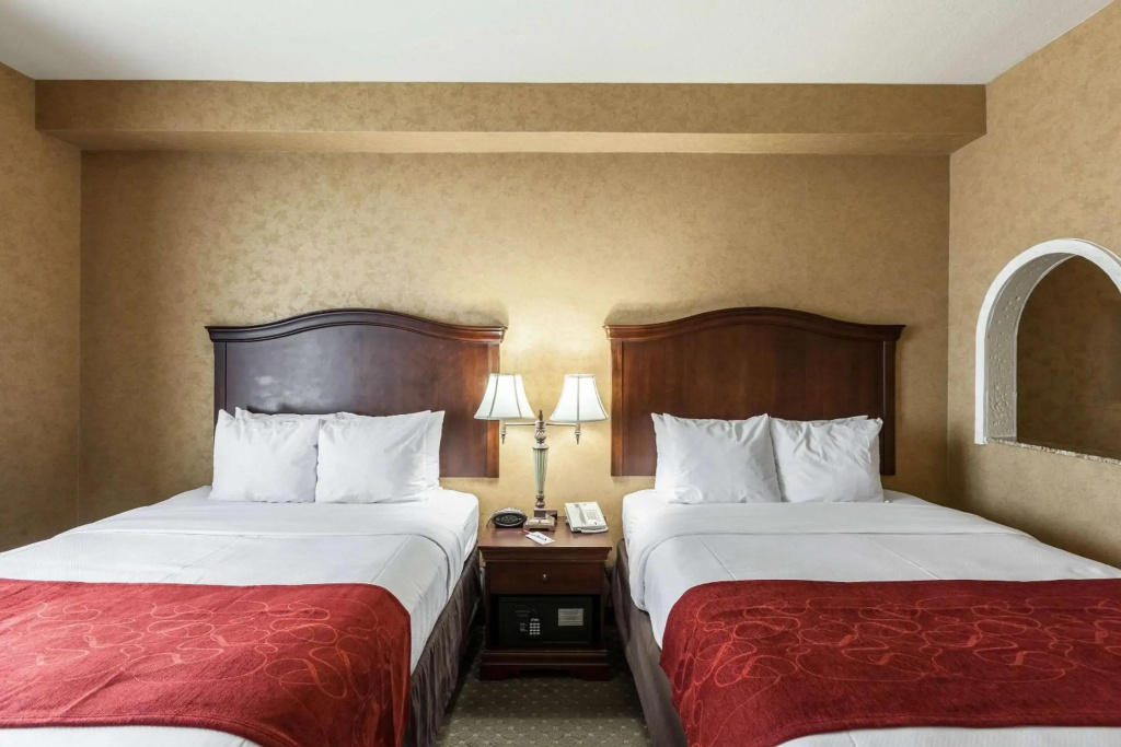 Comfort Suites Alamo - Riverwalk - Général