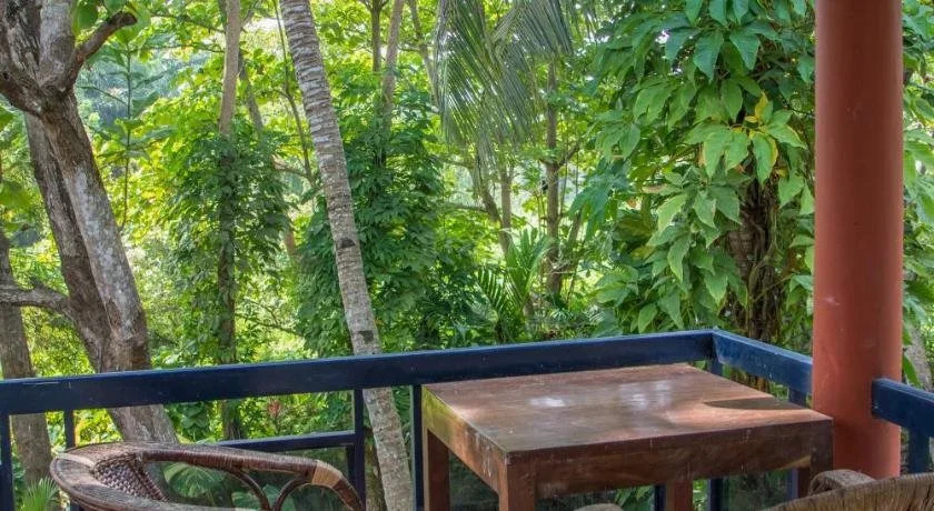 Balcony & Terrace