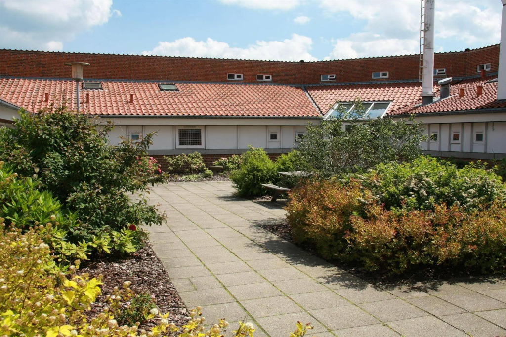 Image 16