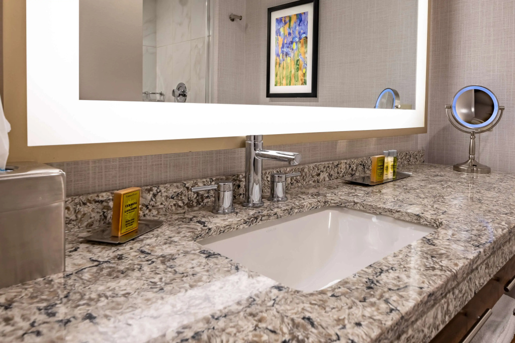 DoubleTree by Hilton Dallas - Farmers Branch - Général