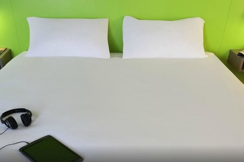 ibis Styles Lyon Villeurbanne Parc de la Tête d'Or - Général