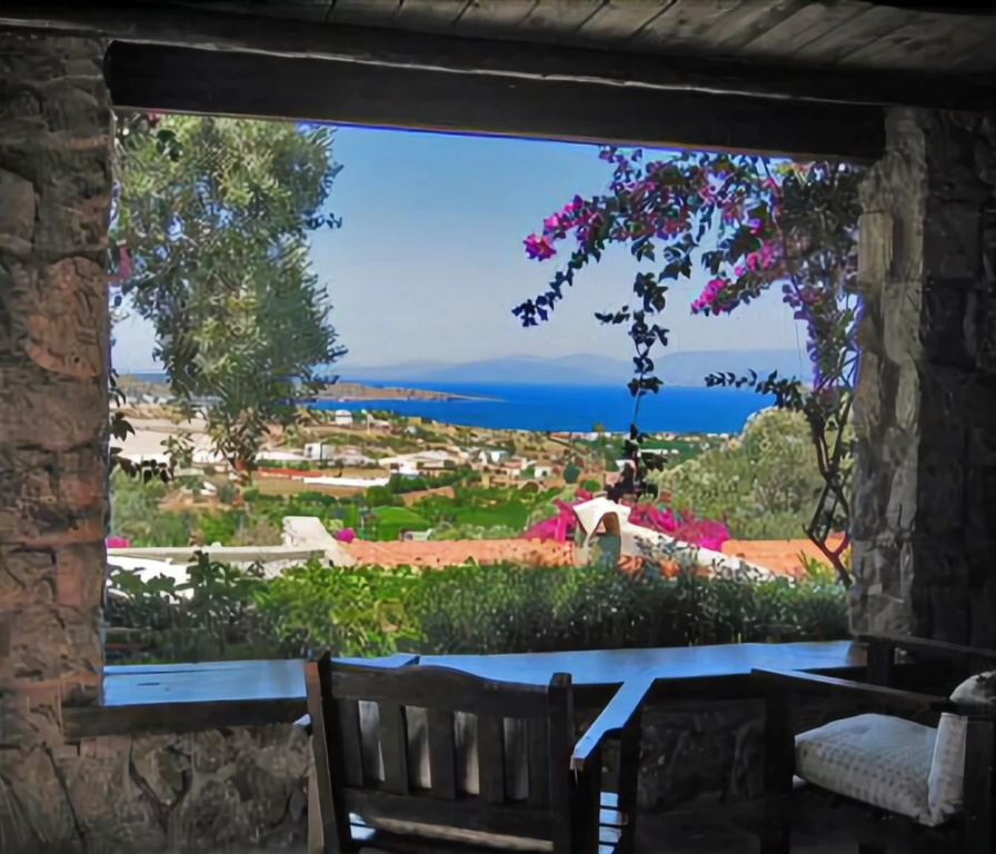 Antik Zeytin Hotel & Art - Boutique Class - Général