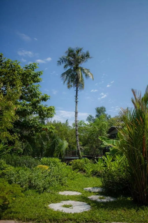 Hotel photo 40