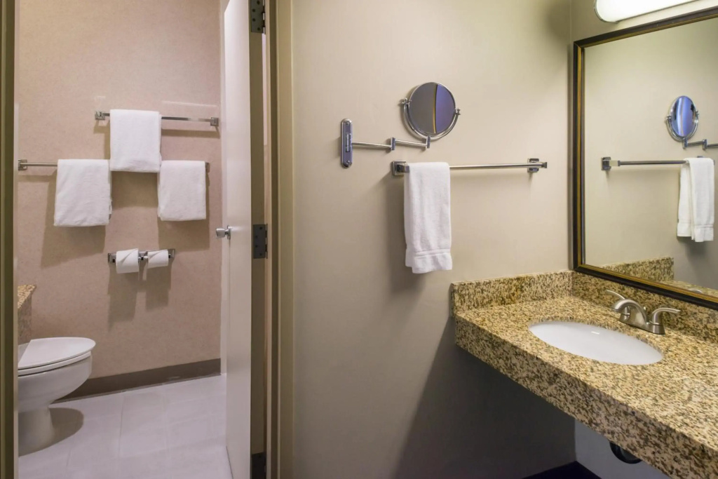 Holiday Inn Dublin-Pleasanton by IHG - Général