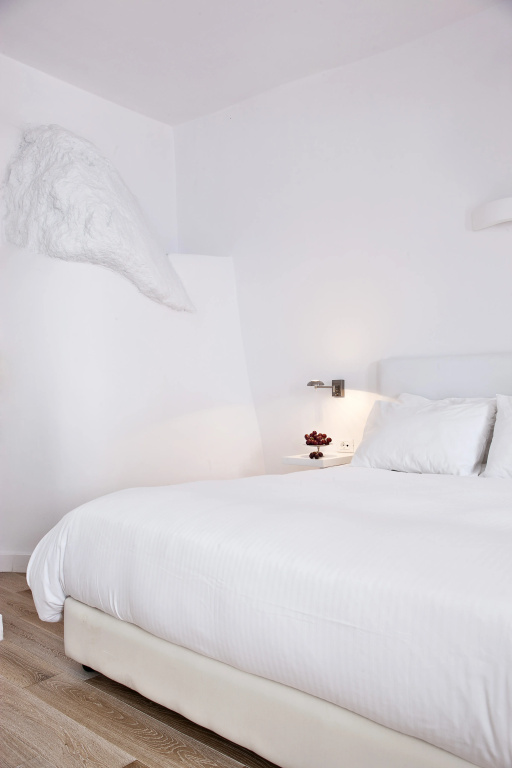 Villaki Oia Hotel - Général