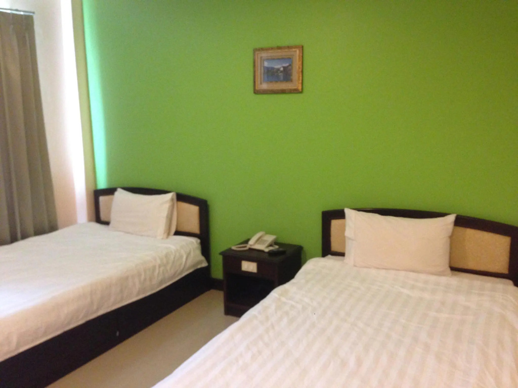 Standard Double room (twin beds)