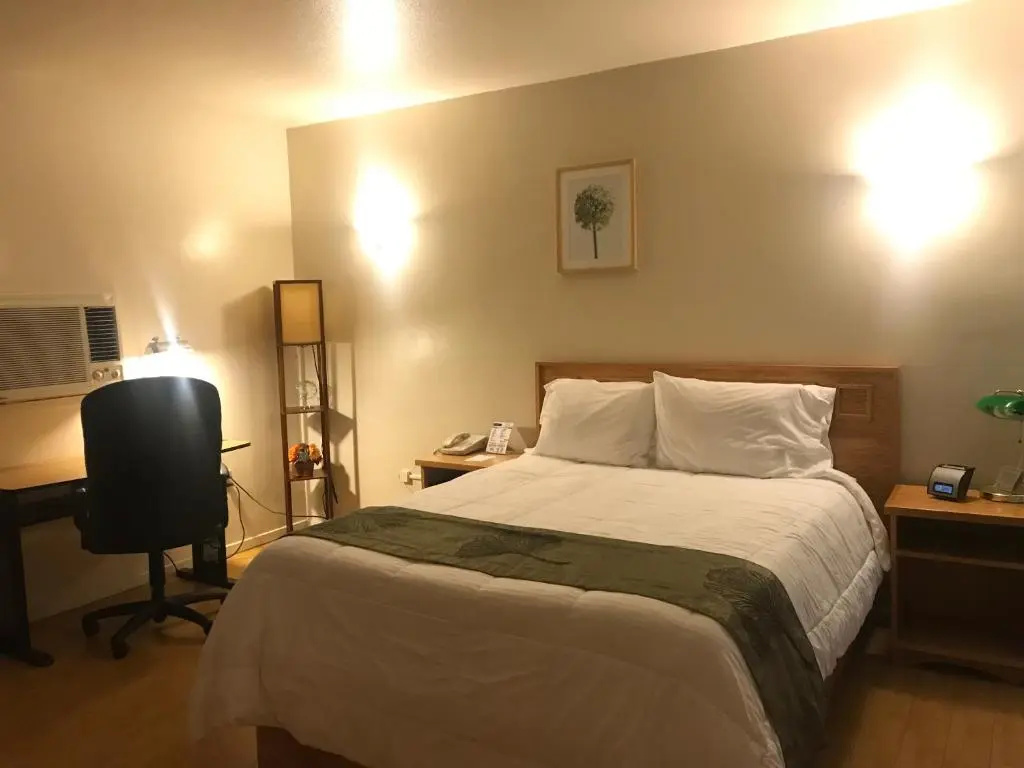 Deluxe Double room (full double bed)