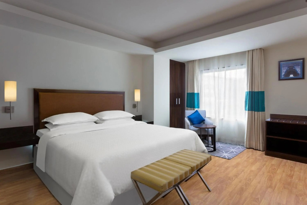 Four Points by Sheraton Vadodara - фото 7