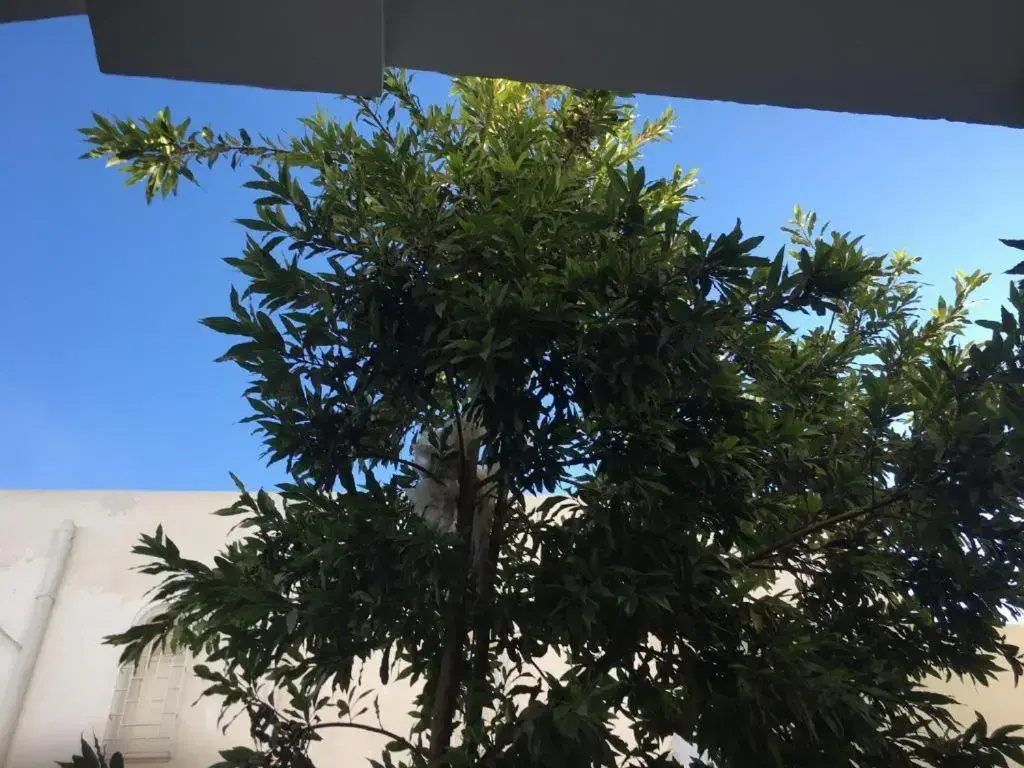 Maison Avec Jardin Garage