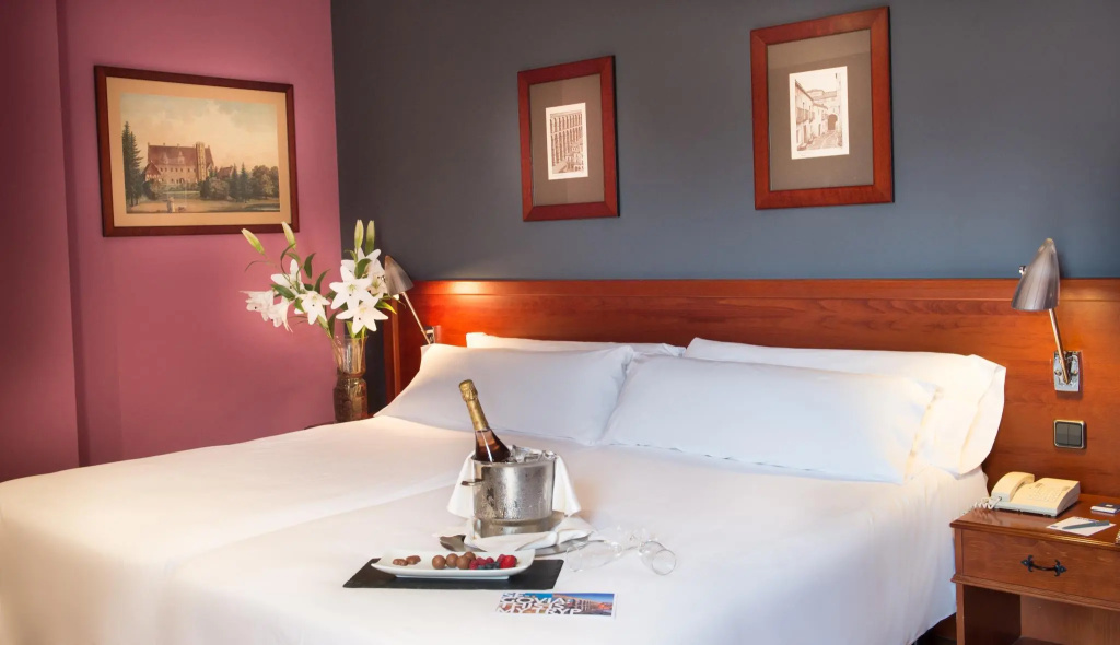 Segovia Sierra de Guadarrama Hotel - Chambres