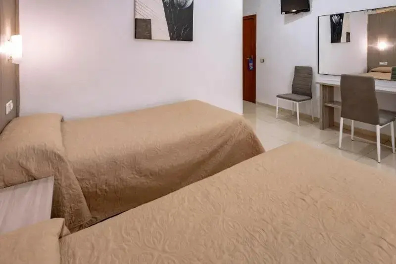 Standard Double room (twin beds)