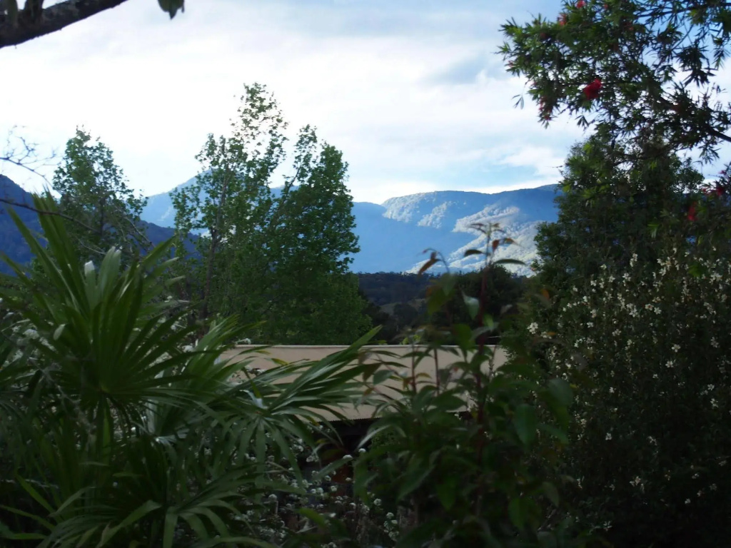 The Lodge Bellingen