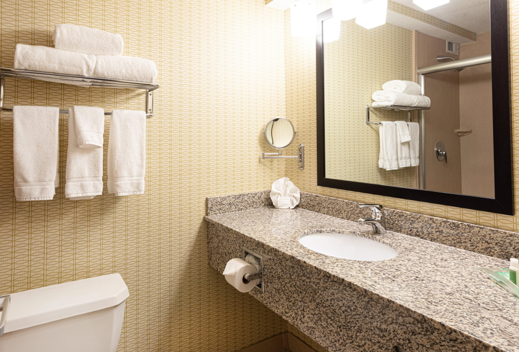 Holiday Inn St. Louis Arpt West-Earth City by IHG - Général