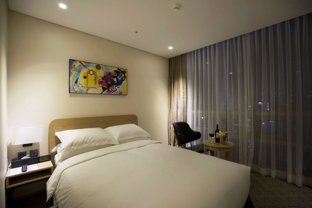Standard Double room with city view (full double bed)
