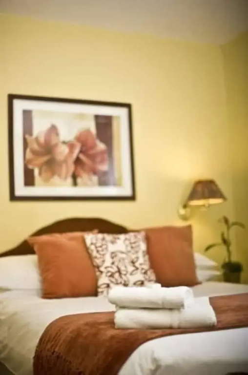 Overcliffe Hotel - Chambres