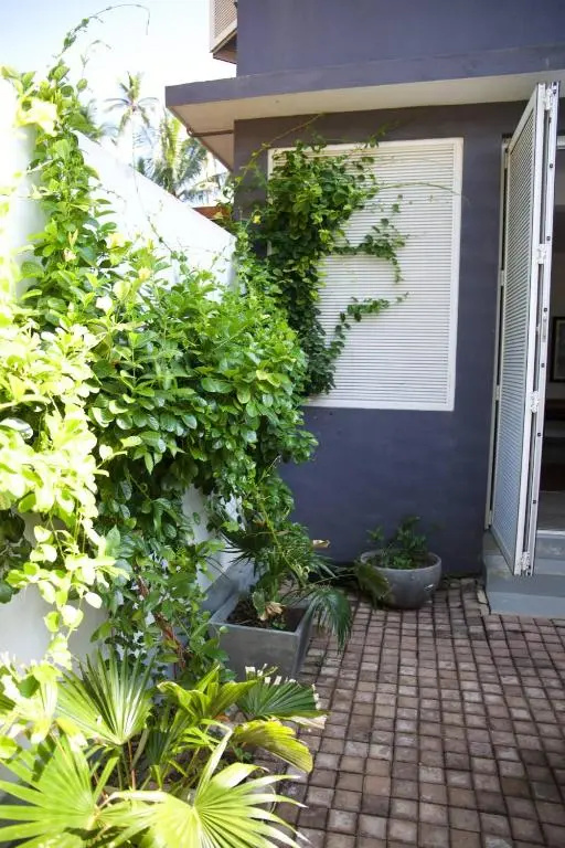 Surf Bay House - фото 3