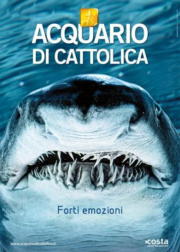 gallery_image_hidden_29