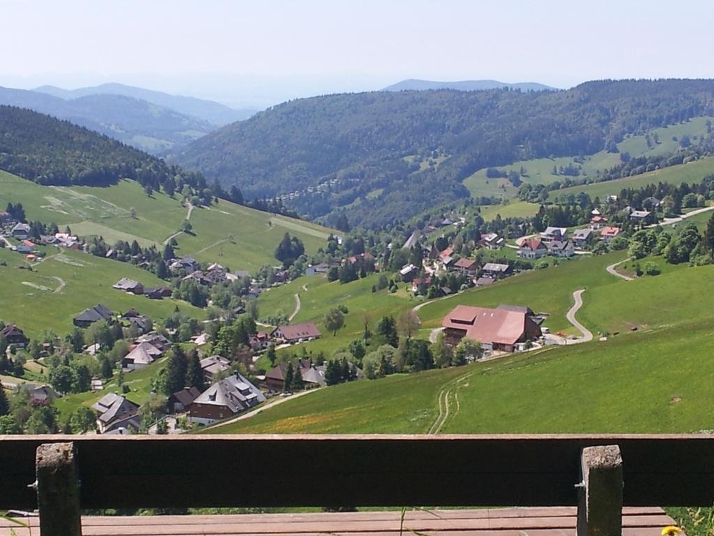 Panorama Sonnenalm Hochschwarzwald image