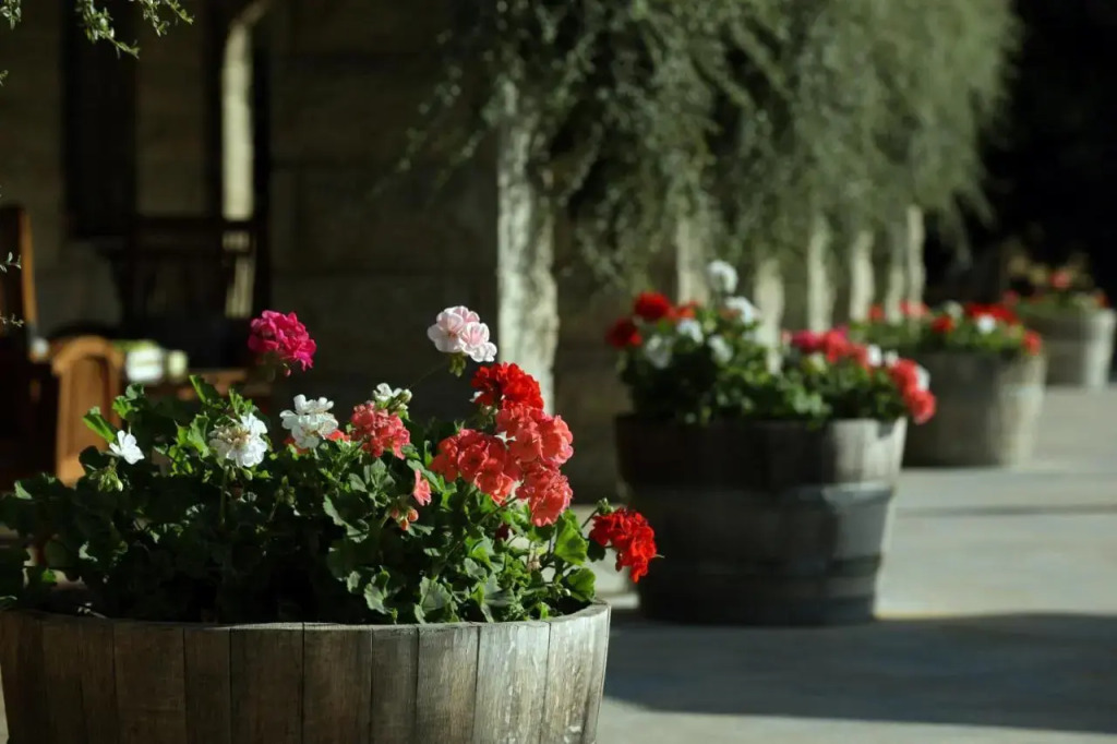 Terre Brune Hotel - фото 48