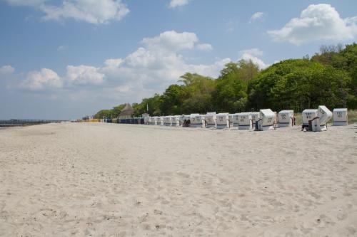Beach & Waterfront