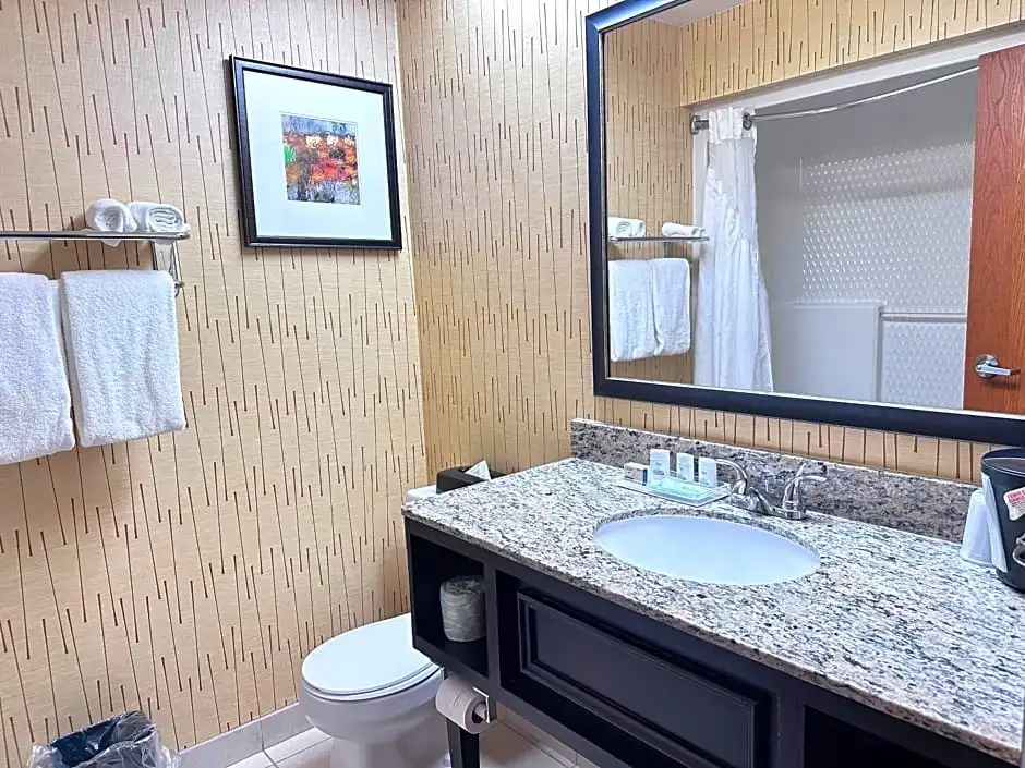 Holiday Inn Express Big Rapids by IHG - Chambres