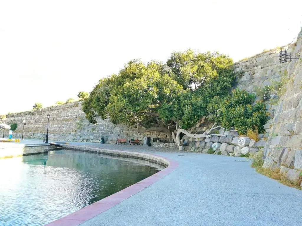 Hotel photo 46