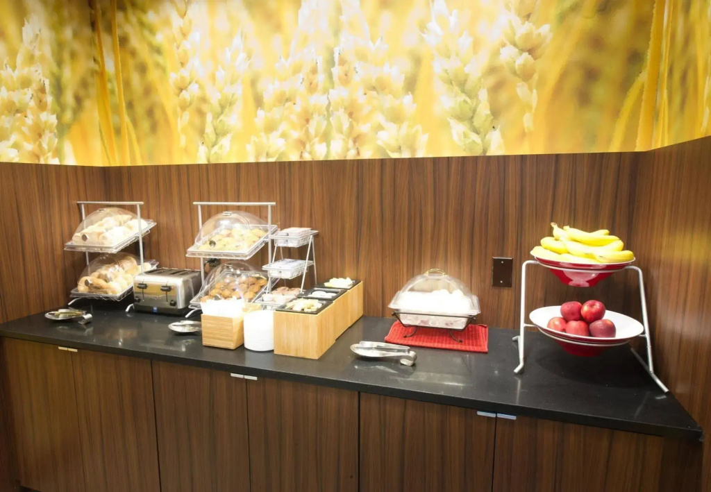 Fairfield Inn & Suites Dallas Plano North - Général