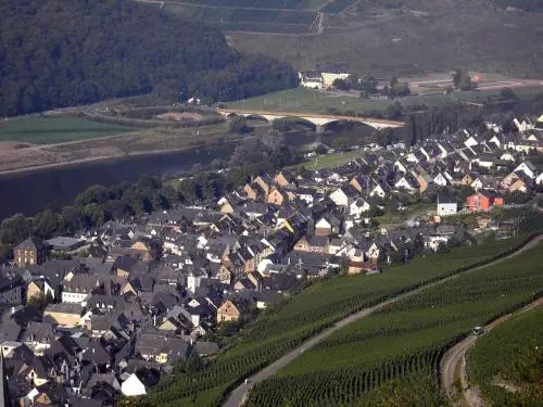 Weinstube Pension Moselblümchen