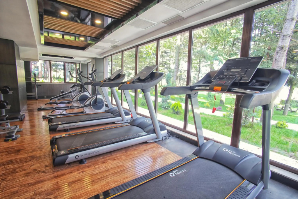 Bolu Koru Hotels Spa & Convention - фото 22