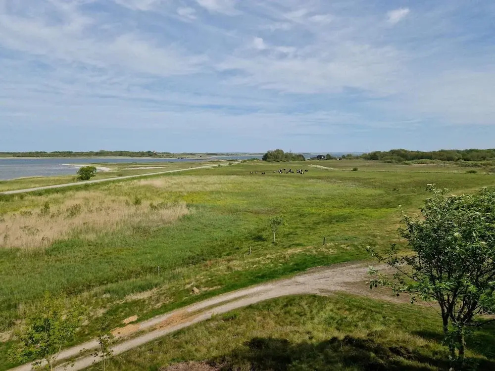 9 Person Holiday Home in Thyholm