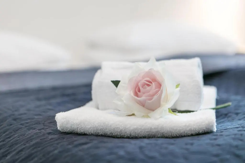 Deluxe Double room (full double bed)