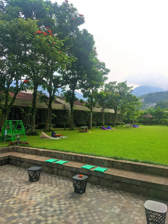 Image 12