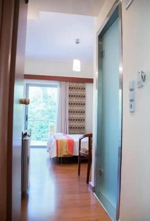 Standard Double room with balcony and with mountain view (full double bed)