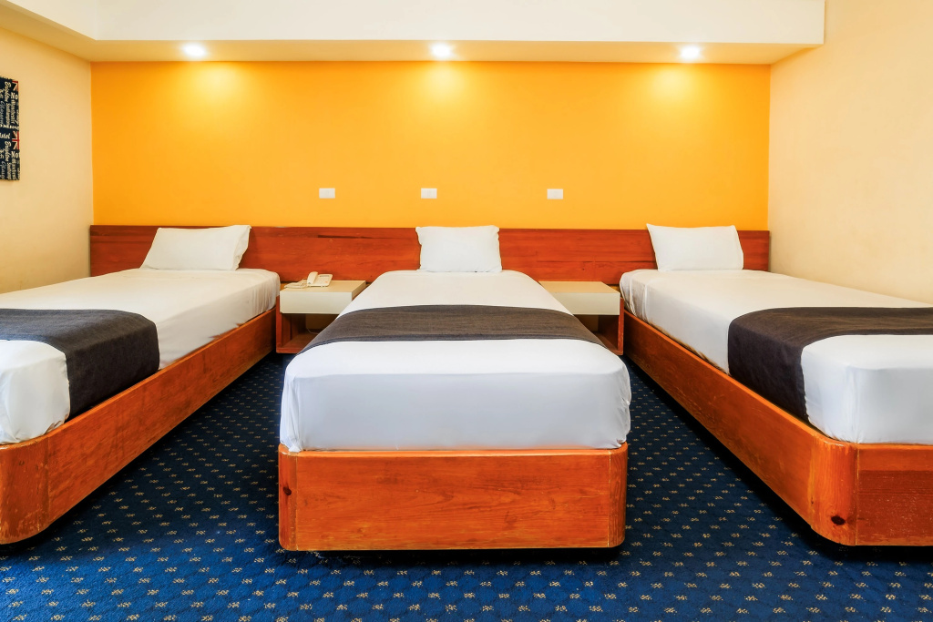 OYO Hotel Hidalgo — 4