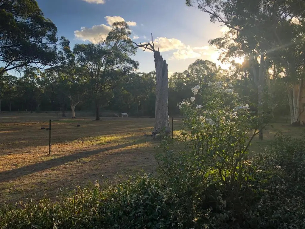 Hunter Valley Retreat - Chambres