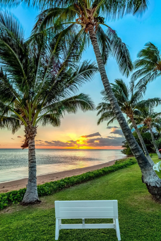 Molokai Shores - Général