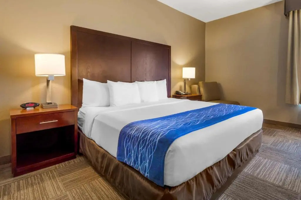 Comfort Inn & Suites Sea-Tac Airport - Chambres