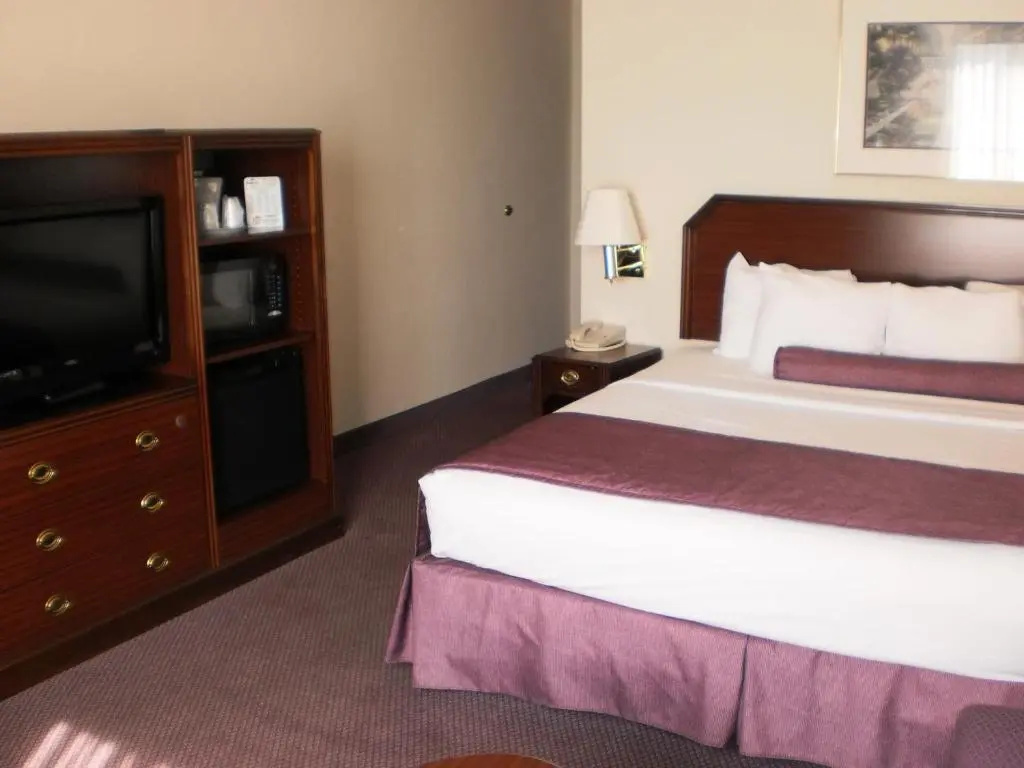 1 Bedroom Standard Single room