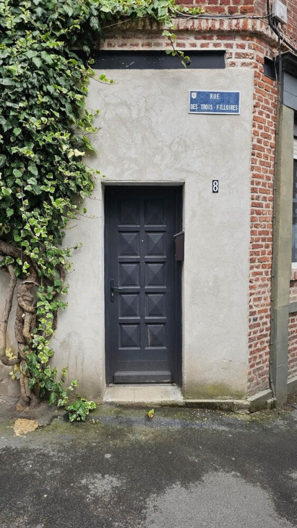 Old Arras Studio Avec Mezzanine