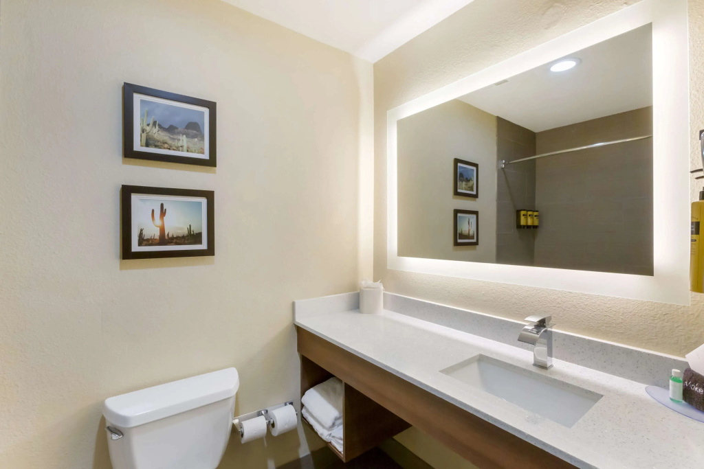 Best Western Plus Surprise-Phoenix NW - Chambres