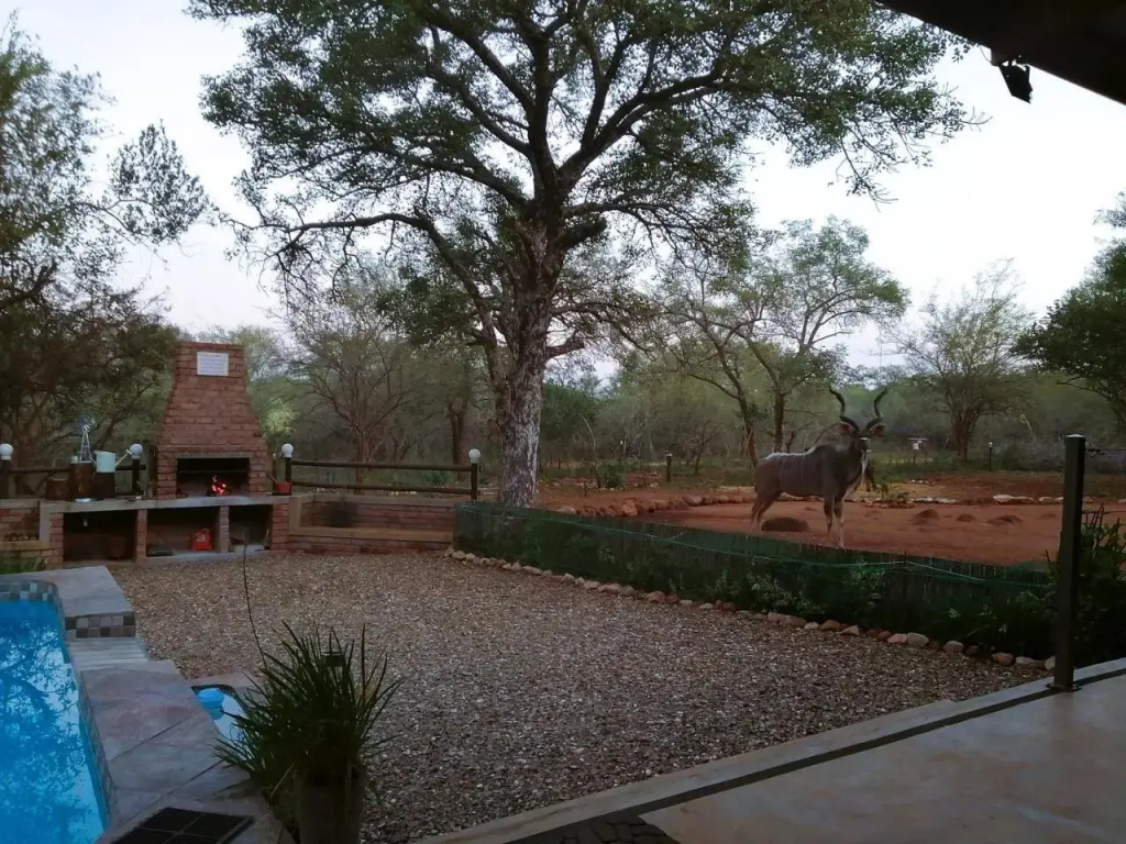 Flight of the Eagle @ Kruger