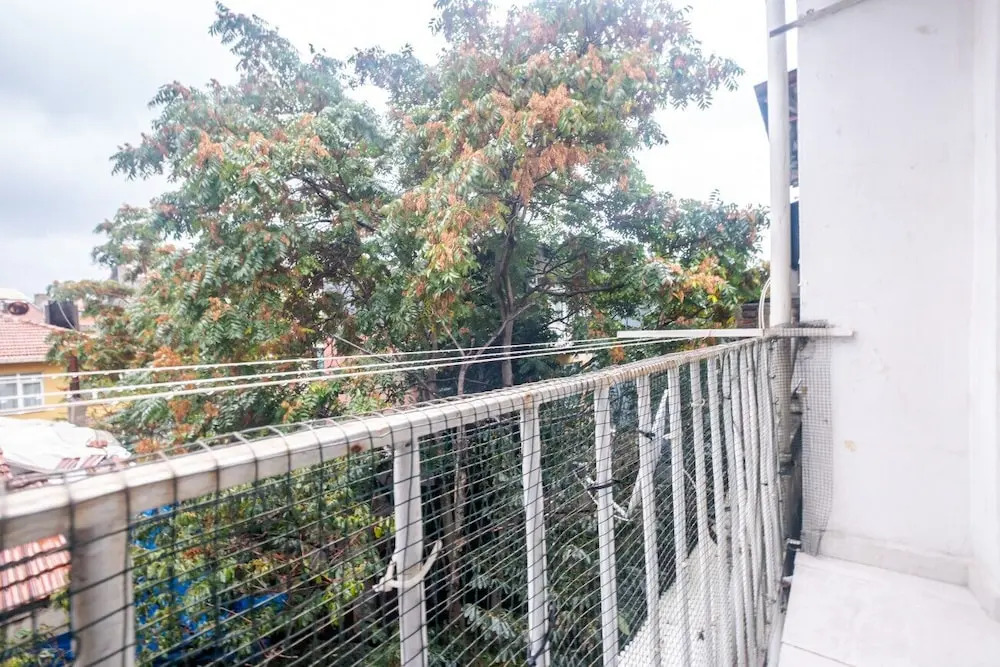 Image 12